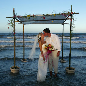 by Alan  Weiner - Wedding Bride & Groom