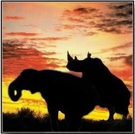 [John McCain[2].jpg]