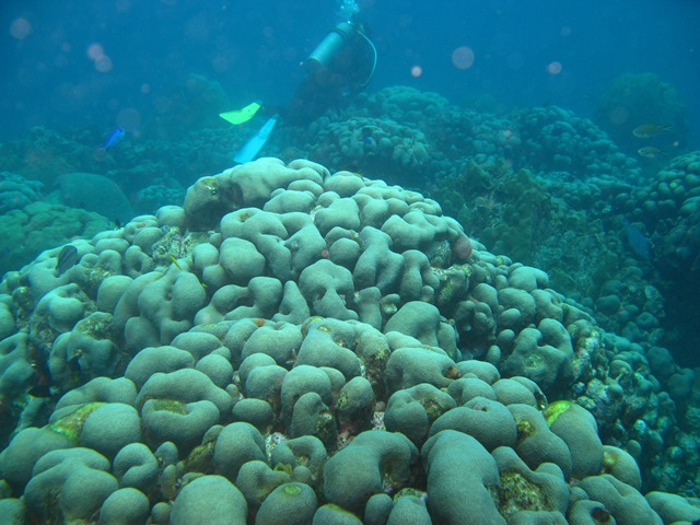[aruba 011[6].jpg]