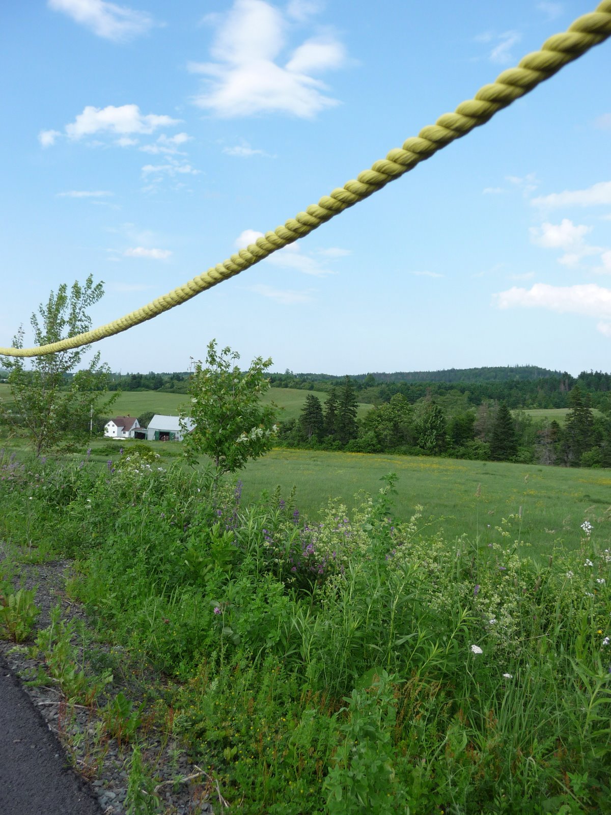 [July08 - Nova Scotia (21)[2].jpg]