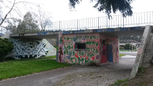 Grafitti Bridge Velenje
