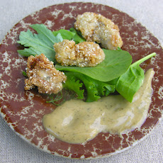 Fried oysters, corn meal style