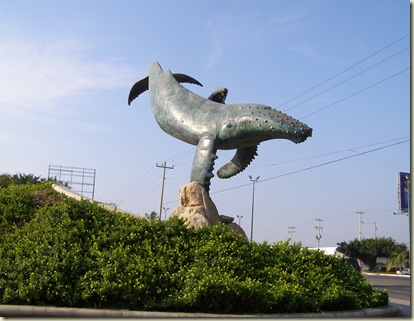 ballena