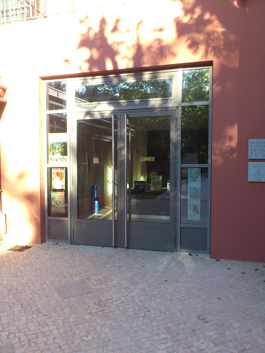 Muséum D'Histoire Naturelle De Toulon Et Du Var
