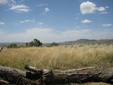 On the drive to Namadji Park