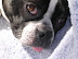 DSCN3642.JPG