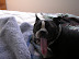 DSCN3655.JPG