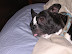 DSCN3701.JPG
