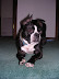 DSCN3682.JPG