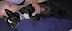 DSCN3660crop.jpg
