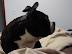 P1000001.JPG
