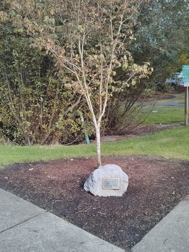 Brian Figley Memorial Tree