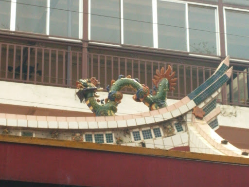 Dragon at the Roof