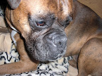 Montes Deep Eyes