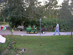 DSCN3712.JPG
