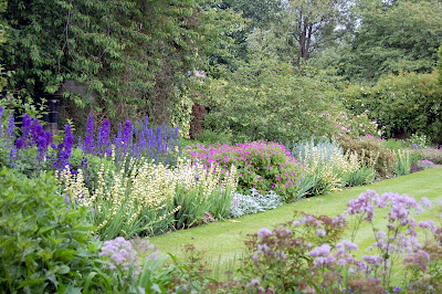 Colourful border