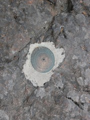 DSCN0034