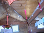 DSCN0155
