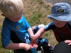 DSCN0195