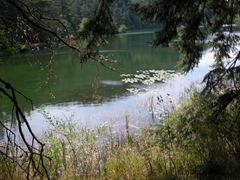 DSCN0104