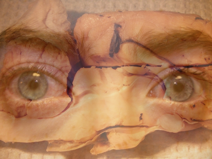 self portrait and brain photo