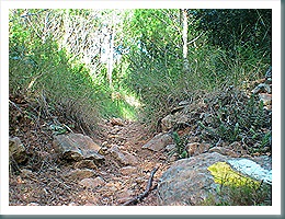 Camino al Coll de la Palma