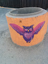 Flying Owl on Concrete