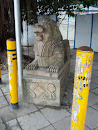 A Lonely Lion Beside the Traffic Light