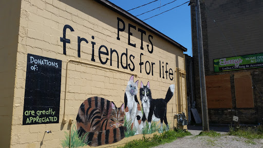 Pets Friends For Life