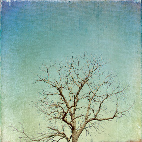 Antietam by Julie Michelena - Fine Art Places