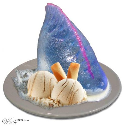 [jellyfish_ice_cream[3].jpg]