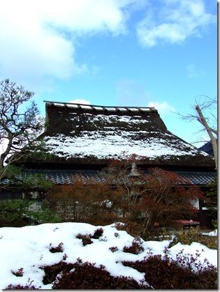 京都 517