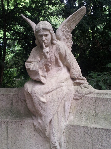 Neumann Angel