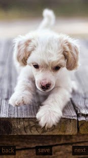 How to mod Inspic Puppies Wallpapers HD 2.0 apk for laptop