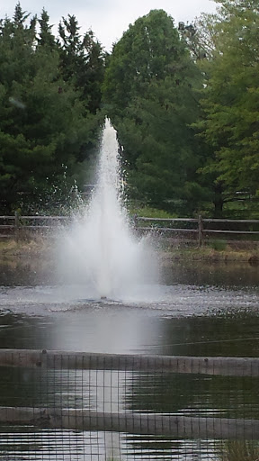 Westover Woods Fountain