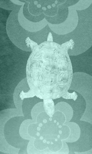 Retro Waggle Turtle
