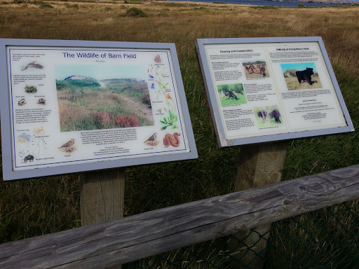 The Wildlife of Barn Field