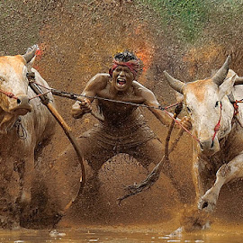 the race by Dadan Ramdani - Sports & Fitness Rodeo/Bull Riding