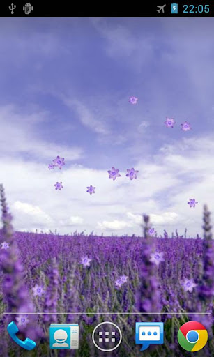 Lavender Live Wallpaper