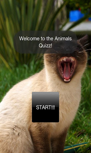 Animals Quiz