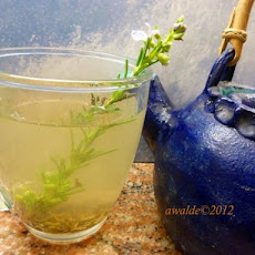 Energy Herbal Tea