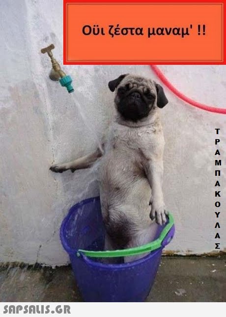 OUL ζέστα μαναμ  !! 0 