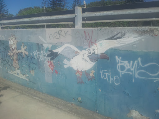 Ghetto Gull North Palm Beach