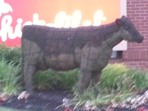 Topiary Cow