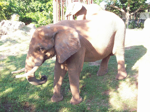 Spotting Image 1