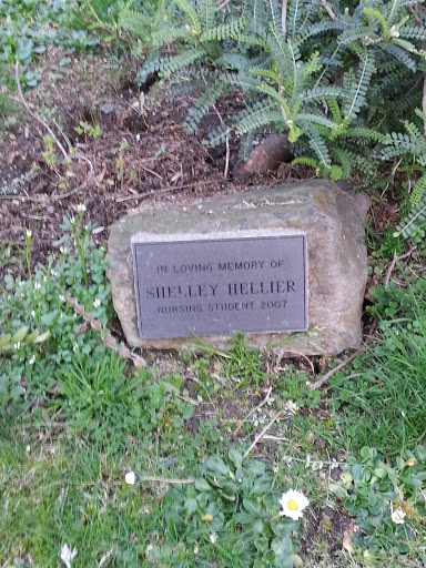 Shelley Hellier Memorial