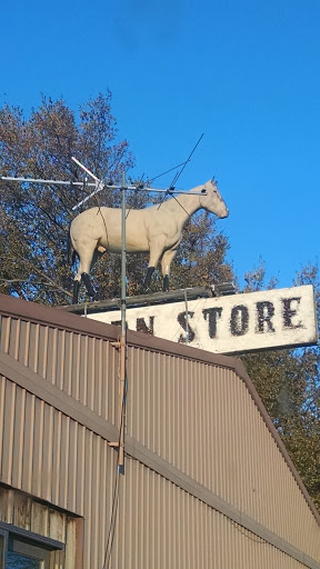 Horse on a Store