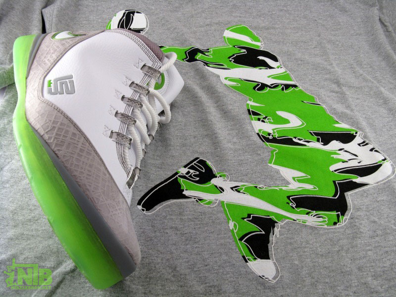 My june pickups LeBron Soldiers from HOH 2008 07_28717
