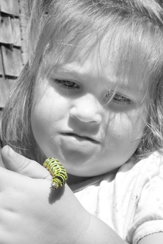 [Alli BW caterpillar green[4].jpg]