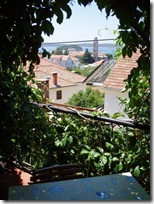 Ljubica's flower jungle